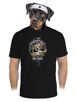 pánské sportovní tričko