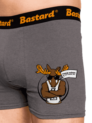 Stírací drsňák boxerky Gray Melange