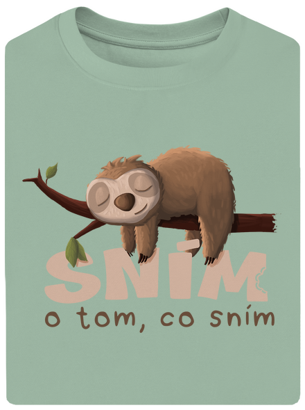 Sním o tom, co sním unisex tričko oversized Sage