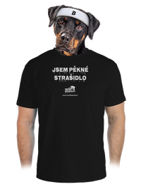 pánské sportovní tričko